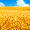 Agrarian Sector_100x100.gif